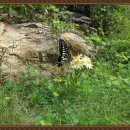 함양 갈비탕 이미지