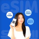 비나