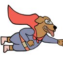 더 개편한세상 이미지