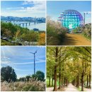 평화순환길 | 걷기 일상 - 하늘공원 &amp; 평화의공원