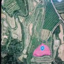 옥천태양광발전소 이미지