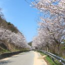 고남저수지 이미지