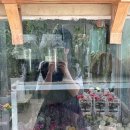 에이스농장 | [전주꽃집] 전주 송천동 에이스꽃농장