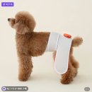 따땃 | 강아지슬개골 추천 노령견 산책 후 다리관리 시리어스펫 따땃망토 프로 후기