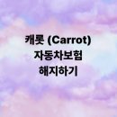 사람과 자동차 | 중고차 판매 후 캐롯(Carrot) 자동차보험 해지 방법과 후기 (상담원 엔딩)