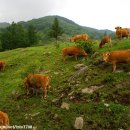 석문목장 이미지