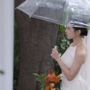 웨딩스위치 이미지