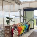 우무레 | 아이와 행복한 제주여행 3박4일 (2일차 feat. 보롬왓 , 만덕이네 , 스누피가든 , 우무레민박 , 바다수산)