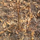 가중농장 이미지