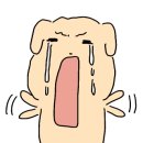미래에스테틱 - 중랑구 | 미래에스테틱
