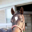 부여(외산)-11 이미지