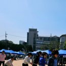 고천초등학교 네이버블로그