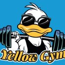 옐로우 짐 이미지