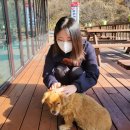 두리개펜션 이미지