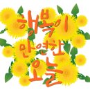 더만족 이미지