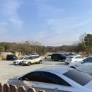 대형애견 이미지