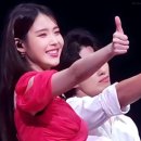 월드 D.C 이미지