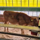 소보소농장 이미지