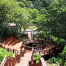 산삼휴양밸리(대봉캠핑랜드) 이미지