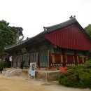 [서울] 서울 장안에서 가장 큰 절, 삼성동 봉은사 봄나들이 이미지