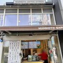 매머드익스프레스별내파라곤