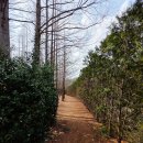 도시락회 이미지