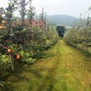 선재농장 이미지