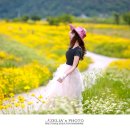 강변로길 이미지