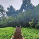 버스정류장(노인종합복지관 앞) 이미지