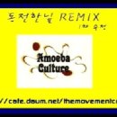 다이나믹 듀오 (Dynamic Duo) - 동전한닢 Remix 이미지