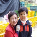 함라초등학교병설유치원 이미지