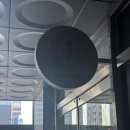 STYLE PC방 | 배곧퍼스널컬러 ‘컬러인플라워’에서 봄웜라이트 진단받은 후기
