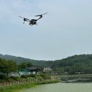 첨단방역