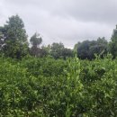 운제농장 이미지