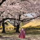 서라벌한복 이미지