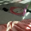 (주)유담 이미지