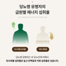동양섬유(주)여주지점 | 여주·돼지감자 성분까지? 2026 신상 뉴케어 당플랜 BIG 현미아몬드맛 성분표 파헤치기