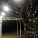 욜라뽕따 글램펜 이미지