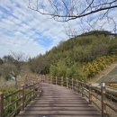 장성호 주차장 1 화장실 이미지