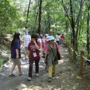 크린데이 이미지