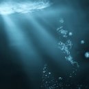 파이코일바이오텍코리아(주)