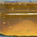 하나로모텔 이미지