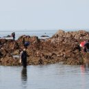 서천 휴모텔 이미지