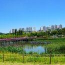 부산시민공원 이미지