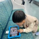 5세 아이 첫 유아학습지 밀크 T 아이로 패드학습지 선택한 이유, 밀크 T 아이 8개월 학습 후기