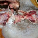 또순네집 Daum카페