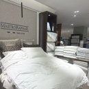 레노마홈부산 | [W.16] 예단이불 브랜드추천 코지네스트 신세계센텀점 구매후기