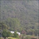 수암낚시터 이미지