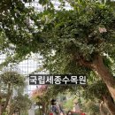 고업파파 | ※오니일상※세종시 가볼만한곳 국립세종수목원