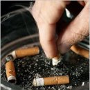 건강월드 이미지